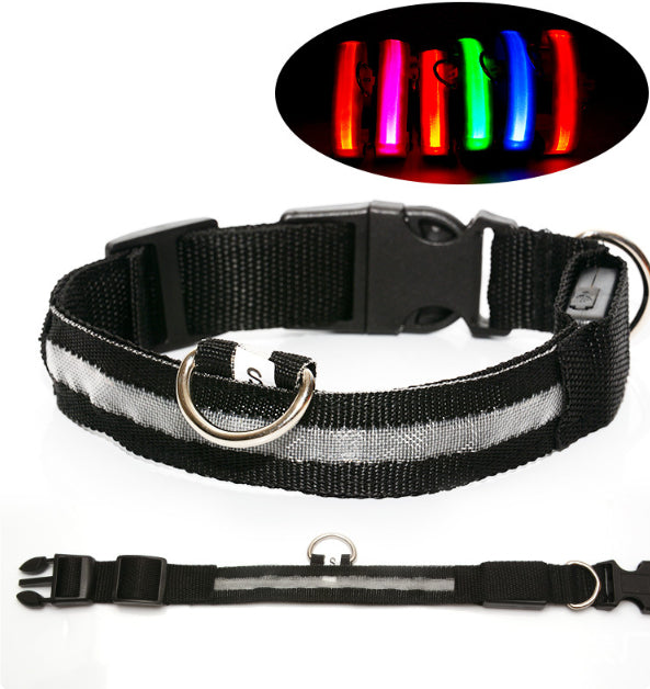 LED Lysende Hundehalsbånd – Synlighet i mørket
