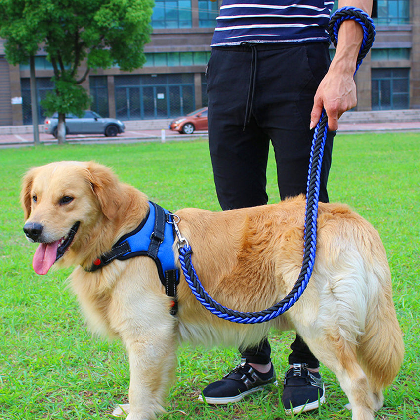 Brystsele for hund – Polstret sele med line