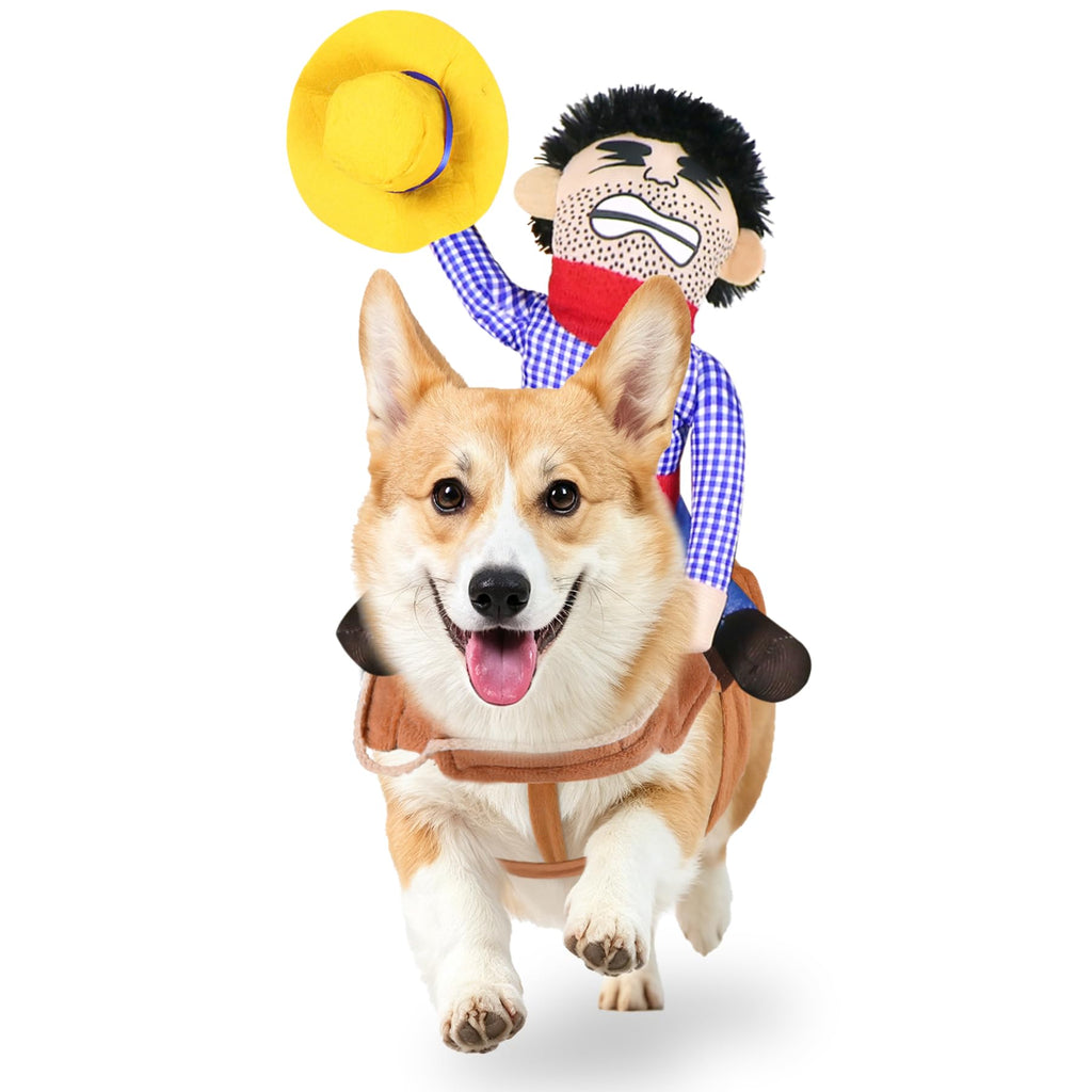 Cowboy-rytter-kostyme til hund, detalj