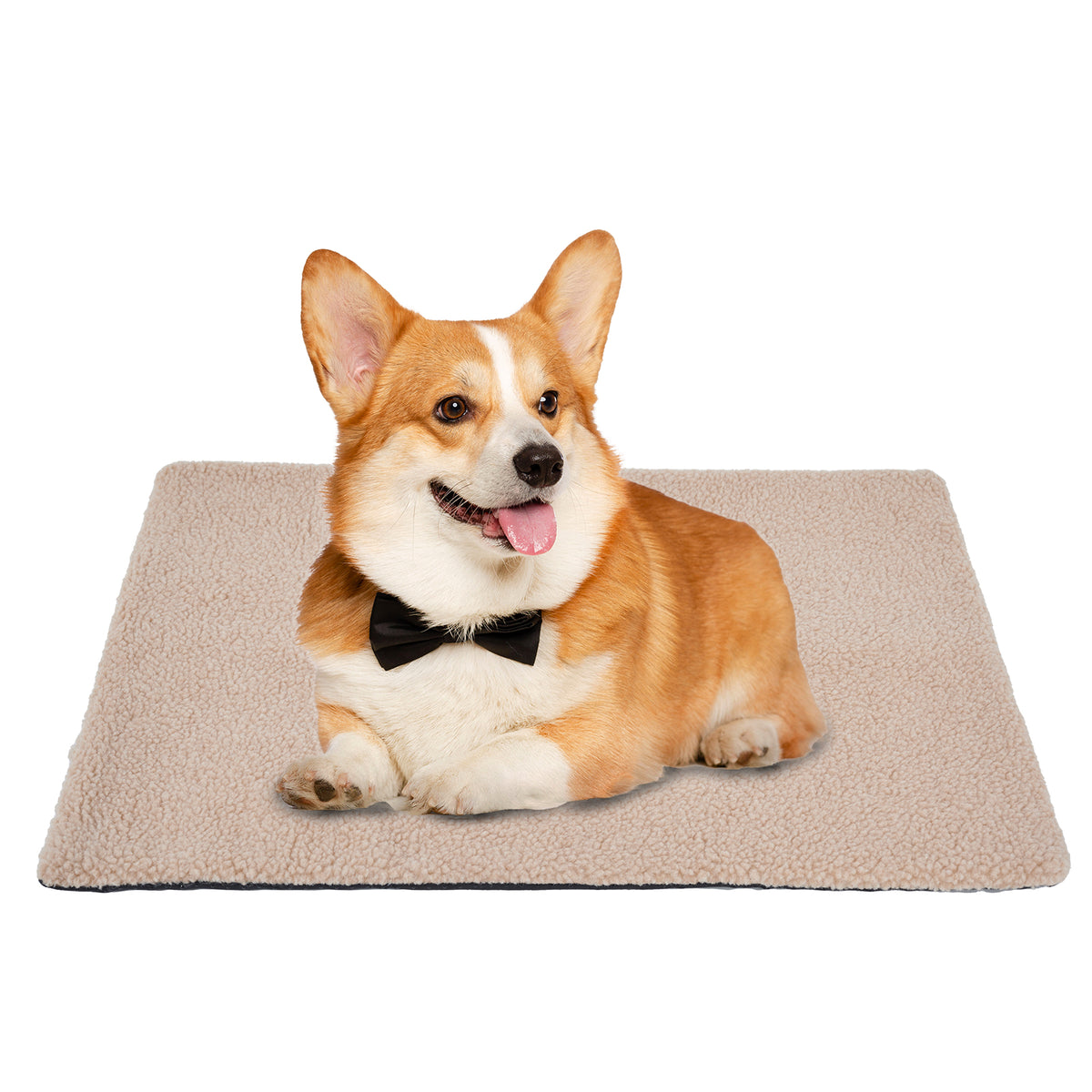 Selvvarmende hundematte – Myk vintervarmer