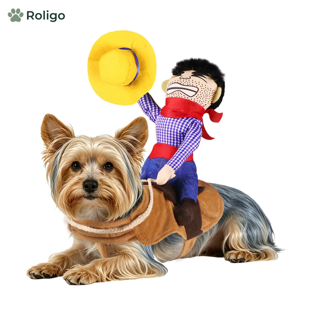 Cowboy-rytter-kostyme til hund