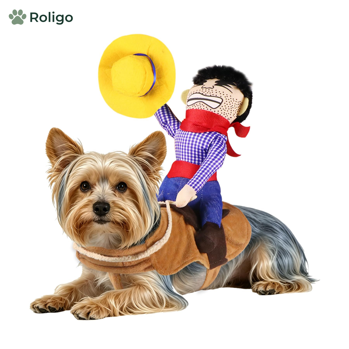 Cowboy-rytter-kostyme til hund