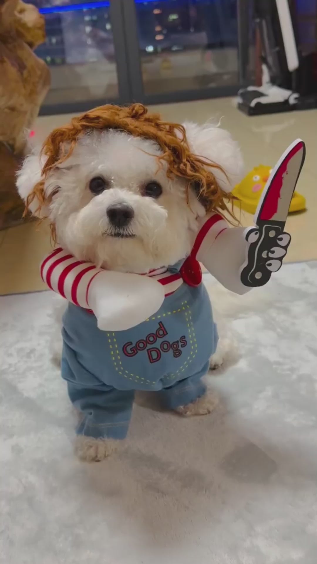 Skummelt dukke-kostyme til hund